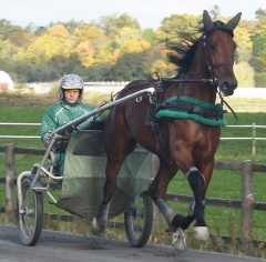 Ugly Duckling 171013-1